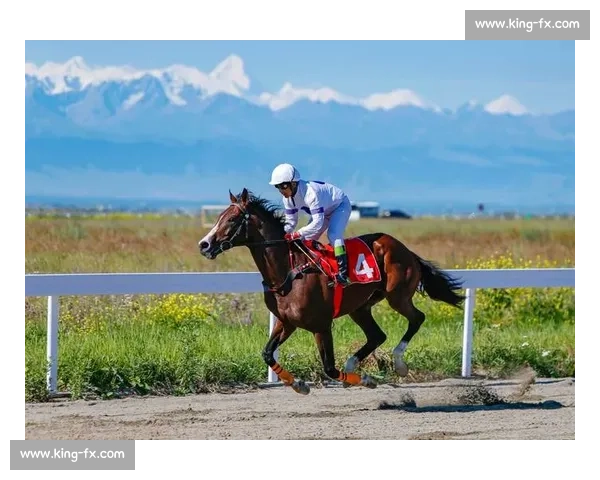 草原风云激荡哈萨克赛马比赛展现民族速度与荣耀传承历史文化精神